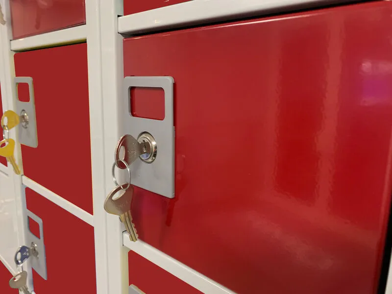 Wall-Mounted_Personal_Effects_Lockers_-_Close_Up-small.webp